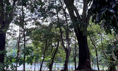 Dijual Kavling Bagus Siap Bangun Vermont Parkland Bsd City