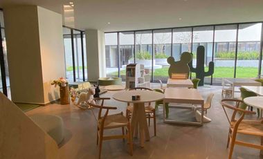 RENTO DEPARTAMENTO AMUEBLADO TIZAPAN SAN ÁNGEL