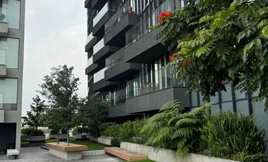 RENTO DEPARTAMENTO AMUEBLADO TIZAPAN SAN ÁNGEL