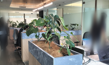 For Sale – 271 sqm | District 8 Prosperity Tower – CORNER UNIT Quick Sale