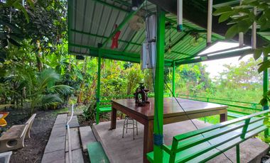 Two Adjacent Detached Houses for Sale – Nimit Mai, Khlong Sam Wa Total land nearly 200 sq.wah. Designed for shared living with privacy.