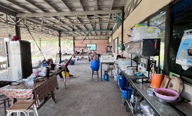 95546 - ขายบ้านสวน 2 ชั้น พร้อมที่ดิน 4 ไร่ 3 งาน 5 ตรว. อ.พรหมบุรี จ.สิงห์บุรี ติดถนนทางหลวงหมายเลข 309