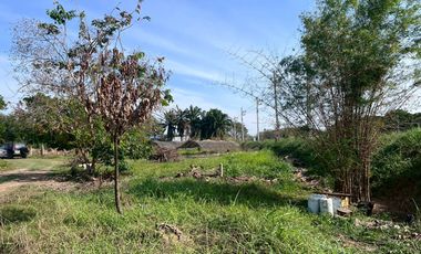 95546 - ขายบ้านสวน 2 ชั้น พร้อมที่ดิน 4 ไร่ 3 งาน 5 ตรว. อ.พรหมบุรี จ.สิงห์บุรี ติดถนนทางหลวงหมายเลข 309