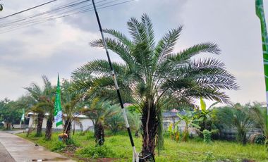 RUMAH CLUSTER MEWAH PINGGIR JALAN UTAMA AKSES JALAN LEBAR DEKAT TOL JORR, BEBAS BANJIR