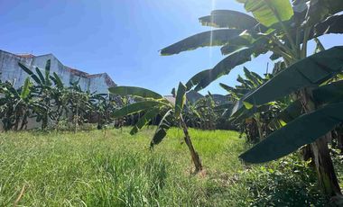 Tanah dijual di RW 01, Semolowaru, Sukolilo, Surabaya, Jawa Timur