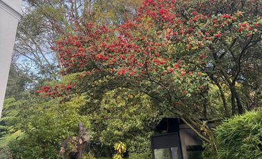 Majestuosa propiedad en el corazón cultural de Bogotá. - 888,38 m2 de Exclusividad