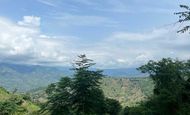 SE VENDE LOTES EN LA MESA CUNDINAMARCA VIVIENDA CAMPESTRE