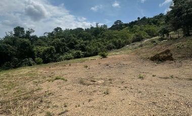 SE VENDE LOTES EN LA MESA CUNDINAMARCA VIVIENDA CAMPESTRE