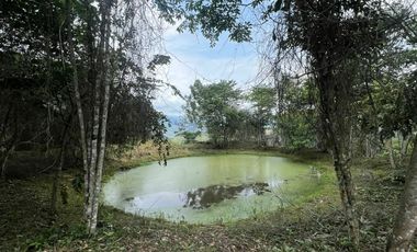 SE VENDE LOTES EN LA MESA CUNDINAMARCA VIVIENDA CAMPESTRE