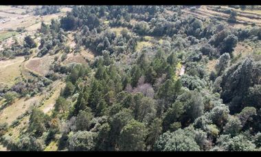 Invierte en Terreno Boscoso  en Omitlán,Hgo. A 10 min Real Del Monte