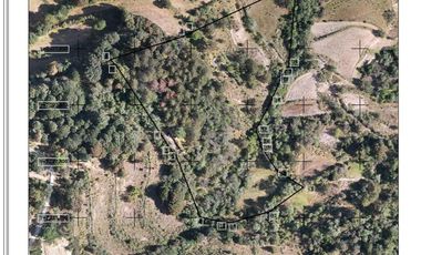 Invierte en Terreno Boscoso  en Omitlán,Hgo. A 10 min Real Del Monte