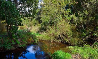 PARCELA REBAJADA CON BOSQUE Y ESTERO, LUZ, AGUA Y FIBRA ÓPTICA YA INSTALADA, LISTAS PARA CONSTRUIR
