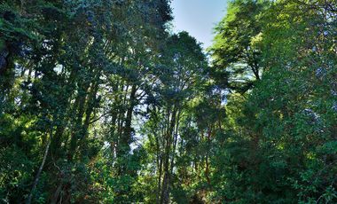 PARCELA REBAJADA CON BOSQUE Y ESTERO, LUZ, AGUA Y FIBRA ÓPTICA YA INSTALADA, LISTAS PARA CONSTRUIR