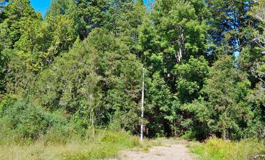 PARCELA REBAJADA CON BOSQUE Y ESTERO, LUZ, AGUA Y FIBRA ÓPTICA YA INSTALADA, LISTAS PARA CONSTRUIR