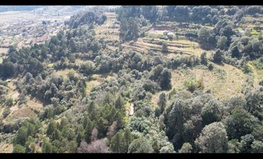 Invierte en Terreno Boscoso a en Omitlán, Hgo. a 15 Min de  Huasca