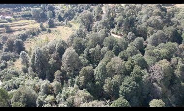 Invierte en Terreno Boscoso a en Omitlán, Hgo. a 15 Min de  Huasca