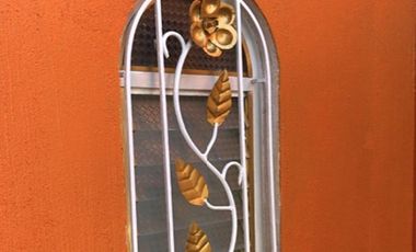 Oportunidad única, casa en San Vicente, municipio de Tamazula de Gordiano, Jalisco.