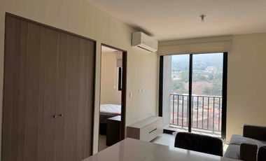 DEPARTAMENTO RENTA EDIFICIO STELA