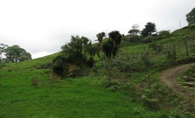 VENDO FINCA EN SAN ANTONIO DE TEQUENDAMA - LA VICTORIA