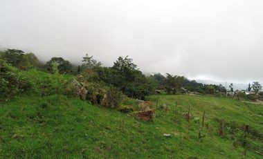 VENDO FINCA EN SAN ANTONIO DE TEQUENDAMA - LA VICTORIA