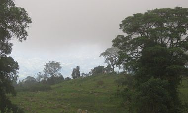 VENDO FINCA EN SAN ANTONIO DE TEQUENDAMA - LA VICTORIA