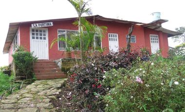 VENDO FINCA EN SAN ANTONIO DE TEQUENDAMA - LA VICTORIA