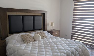 RENTA DEPARTAMENTO AMUEBLO RESIDENCIA DEL PARQUE SAN LUIS  POTOSI