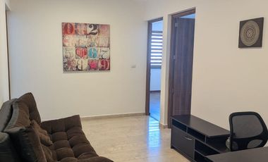 RENTA DEPARTAMENTO AMUEBLO RESIDENCIA DEL PARQUE SAN LUIS  POTOSI