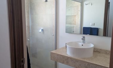 RENTA DEPARTAMENTO AMUEBLO RESIDENCIA DEL PARQUE SAN LUIS  POTOSI