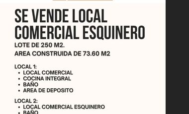SE VENDE PREDIO CON DOS LOCALES COMERCIALES