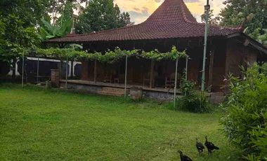 VILLA JOGLO LUAS TANAH 18 ARE DI TEGAL BADENG TIMUR JEMBRANA