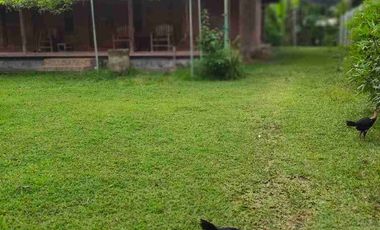 VILLA JOGLO LUAS TANAH 18 ARE DI TEGAL BADENG TIMUR JEMBRANA