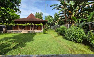 VILLA JOGLO LUAS TANAH 18 ARE DI TEGAL BADENG TIMUR JEMBRANA