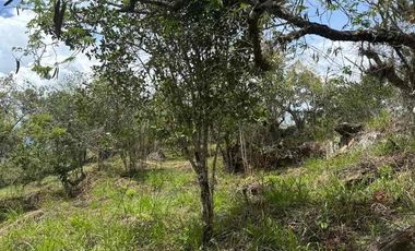 VENTA - lote - Refugio de la Inmensidad – El Cacao