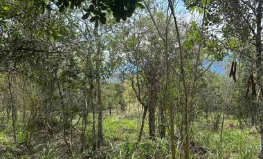 VENTA - lote - Refugio de la Inmensidad – El Cacao