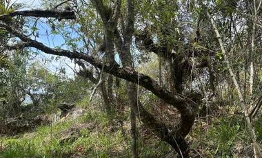 VENTA - lote - Refugio de la Inmensidad – El Cacao