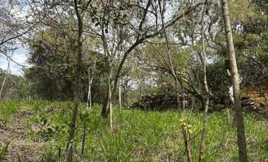 VENTA - lote - Refugio de la Inmensidad – El Cacao