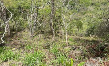 VENTA - lote - Refugio de la Inmensidad – El Cacao