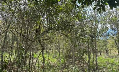 VENTA - lote - Refugio de la Inmensidad – El Cacao