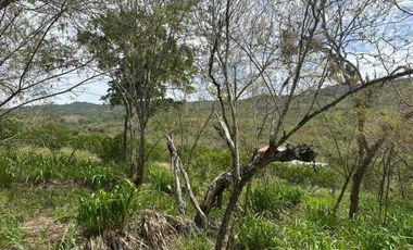 VENTA - lote - Refugio de la Inmensidad – El Cacao