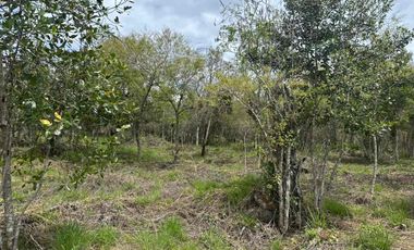 VENTA - lote - Refugio de la Inmensidad – El Cacao