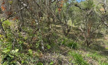 VENTA - lote - Refugio de la Inmensidad – El Cacao