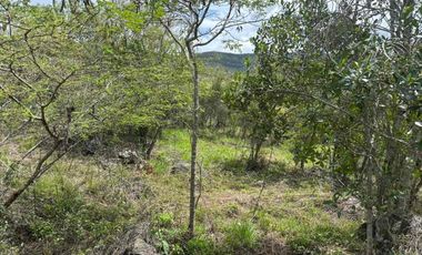 VENTA - lote - Refugio de la Inmensidad – El Cacao