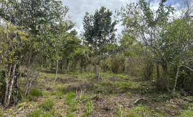 VENTA - lote - Refugio de la Inmensidad – El Cacao