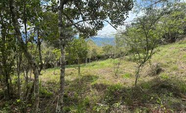 VENTA - lote - Refugio de la Inmensidad – El Cacao