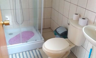 Venta Parcela con 2 Cabañas y Vista al Mar – Panitao, Puerto Montt