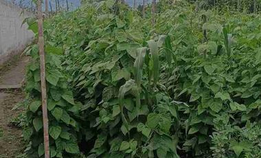 VENDO TERRENO PLANO DE 1193m2 CON CASITA EN CHALTURA, PROVINCIA DE IMBABURA