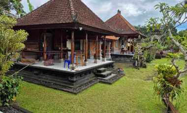 a New Daily Villa for Rent 
close to Sidemen