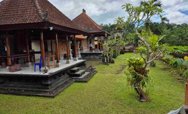 a New Daily Villa for Rent 
close to Sidemen