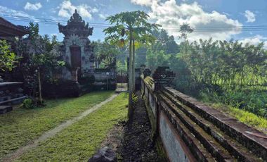 a New Daily Villa for Rent 
close to Sidemen